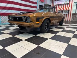 1973 Ford Mustang (CC-2066179) for sale in Annandale, Minnesota