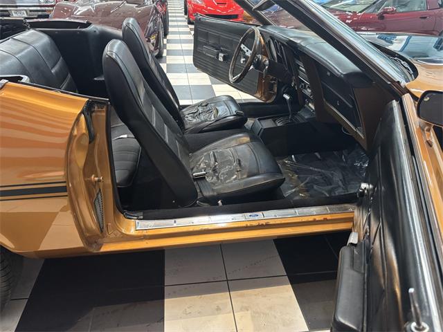 1973 Ford Mustang (CC-2066179) for sale in Annandale, Minnesota