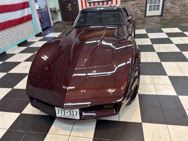 1980 Chevrolet Corvette (CC-2066180) for sale in Annandale, Minnesota