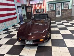 1980 Chevrolet Corvette (CC-2066180) for sale in Annandale, Minnesota