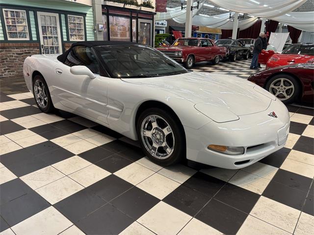 1998 Chevrolet Corvette (CC-2066187) for sale in Annandale, Minnesota