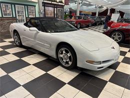 1998 Chevrolet Corvette (CC-2066187) for sale in Annandale, Minnesota