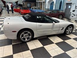 1998 Chevrolet Corvette (CC-2066187) for sale in Annandale, Minnesota