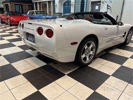1998 Chevrolet Corvette (CC-2066187) for sale in Annandale, Minnesota
