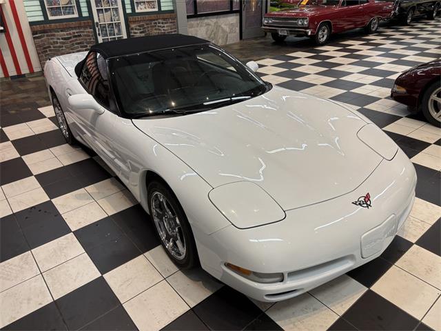 1998 Chevrolet Corvette (CC-2066187) for sale in Annandale, Minnesota