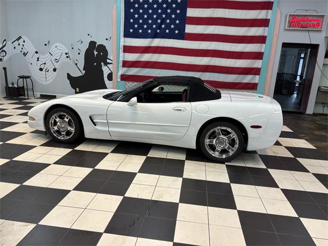 1998 Chevrolet Corvette (CC-2066187) for sale in Annandale, Minnesota