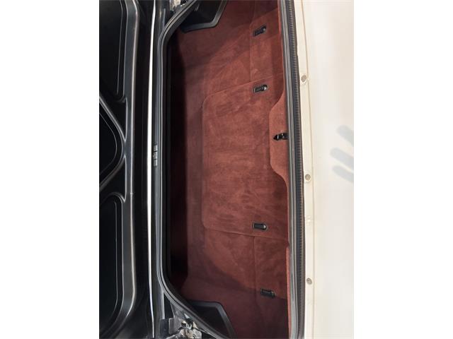 1998 Chevrolet Corvette (CC-2066187) for sale in Annandale, Minnesota