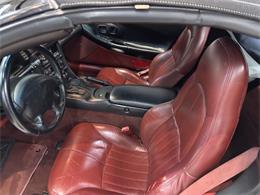 1998 Chevrolet Corvette (CC-2066187) for sale in Annandale, Minnesota