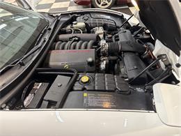 1998 Chevrolet Corvette (CC-2066187) for sale in Annandale, Minnesota