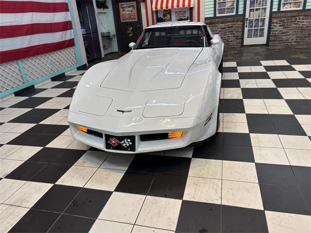 1981 Chevrolet Corvette (CC-2066188) for sale in Annandale, Minnesota
