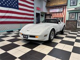 1981 Chevrolet Corvette (CC-2066188) for sale in Annandale, Minnesota
