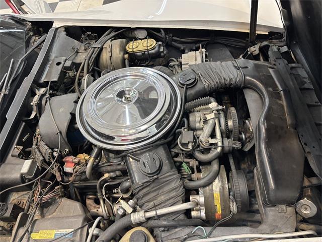 1981 Chevrolet Corvette (CC-2066188) for sale in Annandale, Minnesota