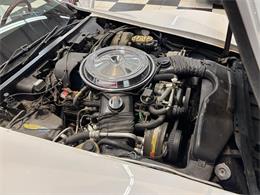 1981 Chevrolet Corvette (CC-2066188) for sale in Annandale, Minnesota