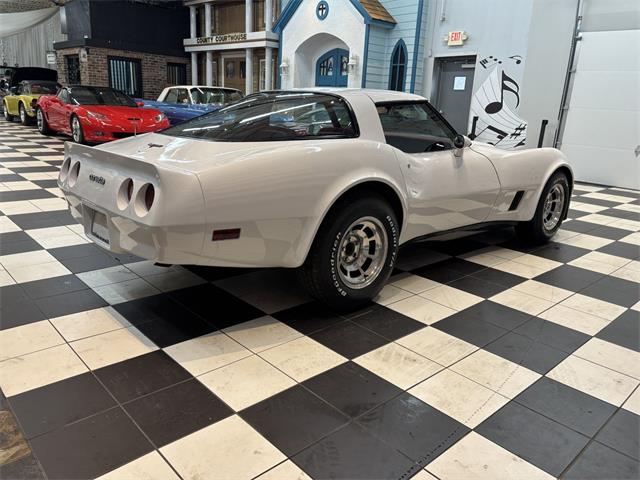 1981 Chevrolet Corvette (CC-2066188) for sale in Annandale, Minnesota