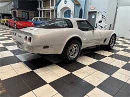 1981 Chevrolet Corvette (CC-2066188) for sale in Annandale, Minnesota