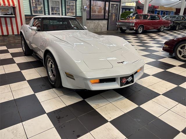 1981 Chevrolet Corvette (CC-2066188) for sale in Annandale, Minnesota