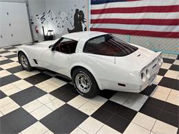 1981 Chevrolet Corvette (CC-2066188) for sale in Annandale, Minnesota