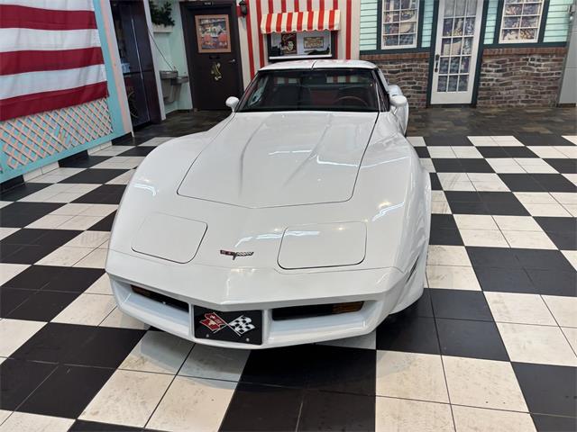 1981 Chevrolet Corvette (CC-2066188) for sale in Annandale, Minnesota