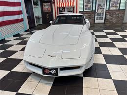 1981 Chevrolet Corvette (CC-2066188) for sale in Annandale, Minnesota