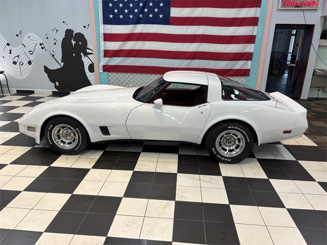 1981 Chevrolet Corvette (CC-2066188) for sale in Annandale, Minnesota