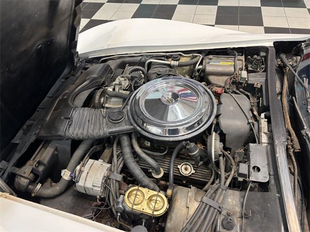 1981 Chevrolet Corvette (CC-2066188) for sale in Annandale, Minnesota