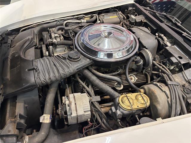 1981 Chevrolet Corvette (CC-2066188) for sale in Annandale, Minnesota