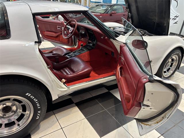 1981 Chevrolet Corvette (CC-2066188) for sale in Annandale, Minnesota