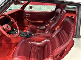 1981 Chevrolet Corvette (CC-2066188) for sale in Annandale, Minnesota