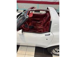 1981 Chevrolet Corvette (CC-2066188) for sale in Annandale, Minnesota