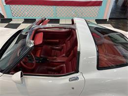 1981 Chevrolet Corvette (CC-2066188) for sale in Annandale, Minnesota