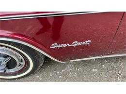 1966 Chevrolet Impala (CC-2066192) for sale in Annandale, Minnesota