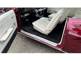 1966 Chevrolet Impala (CC-2066192) for sale in Annandale, Minnesota