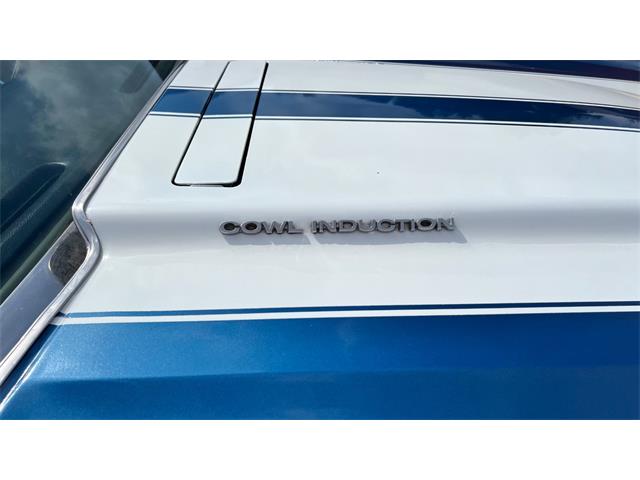 1971 Chevrolet Chevelle (CC-2066201) for sale in Annandale, Minnesota