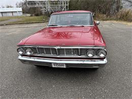 1964 Ford Galaxie 500 (CC-2066204) for sale in Annandale, Minnesota