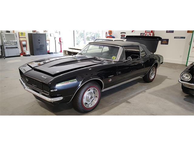 1967 Chevrolet Camaro SS (CC-2066215) for sale in Annandale, Minnesota