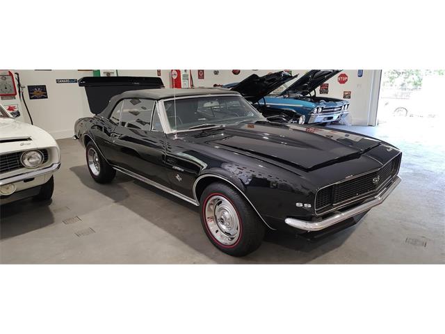 1967 Chevrolet Camaro SS (CC-2066215) for sale in Annandale, Minnesota