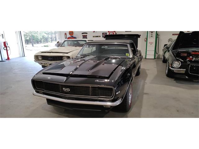 1967 Chevrolet Camaro SS (CC-2066215) for sale in Annandale, Minnesota