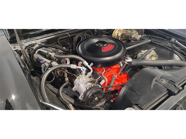 1967 Chevrolet Camaro SS (CC-2066215) for sale in Annandale, Minnesota