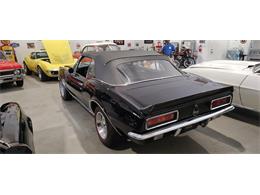 1967 Chevrolet Camaro SS (CC-2066215) for sale in Annandale, Minnesota