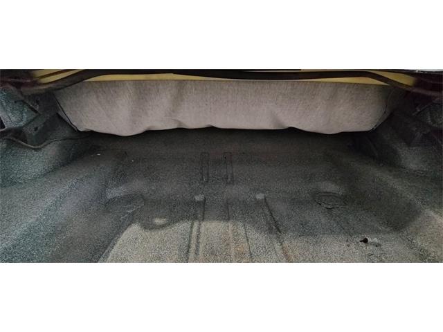 1967 Chevrolet Camaro SS (CC-2066215) for sale in Annandale, Minnesota