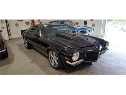 1973 Chevrolet Camaro (CC-2066218) for sale in Annandale, Minnesota