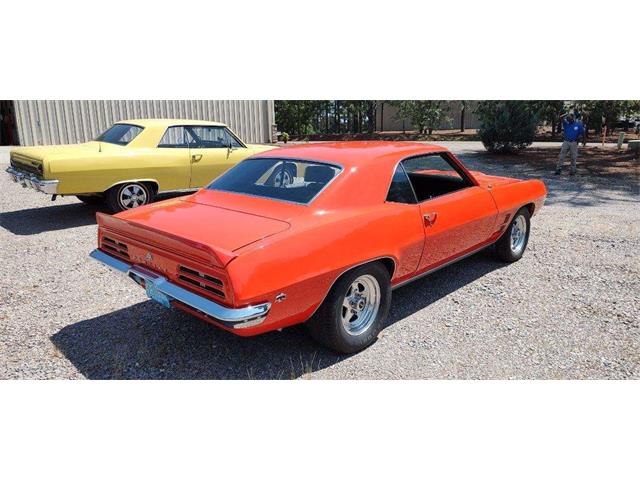 1969 Pontiac Firebird (CC-2066220) for sale in Annandale, Minnesota