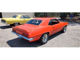 1969 Pontiac Firebird (CC-2066220) for sale in Annandale, Minnesota