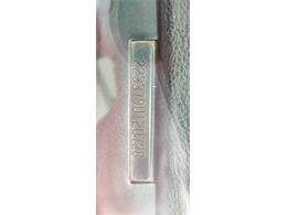 1969 Pontiac Firebird (CC-2066220) for sale in Annandale, Minnesota