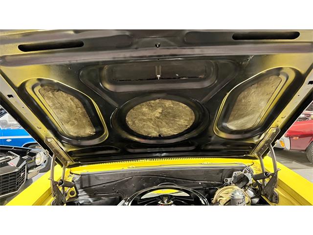 1965 Chevrolet Chevelle (CC-2066224) for sale in Annandale, Minnesota