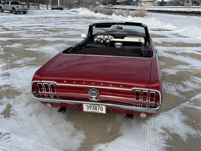 1967 Ford Mustang (CC-2066227) for sale in Annandale, Minnesota