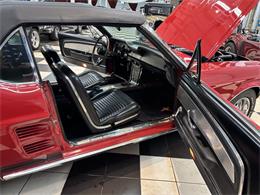 1967 Ford Mustang (CC-2066227) for sale in Annandale, Minnesota