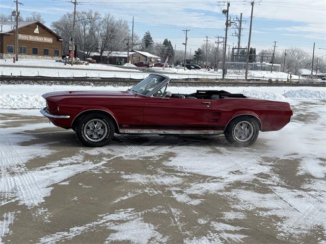 1967 Ford Mustang (CC-2066227) for sale in Annandale, Minnesota