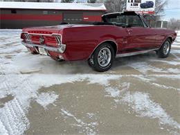 1967 Ford Mustang (CC-2066227) for sale in Annandale, Minnesota