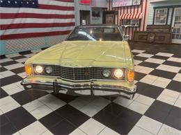 1973 Ford Galaxie 500 (CC-2066233) for sale in Annandale, Minnesota